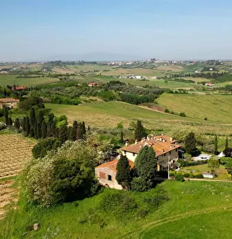 Foto annuncio 54
