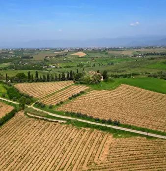 Foto annuncio 51
