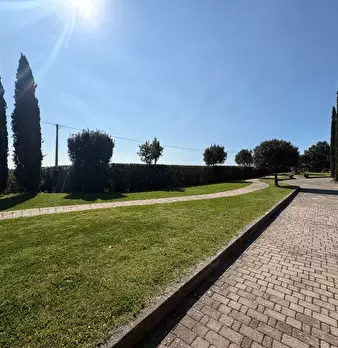 Foto annuncio 75