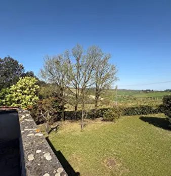 Foto annuncio 61