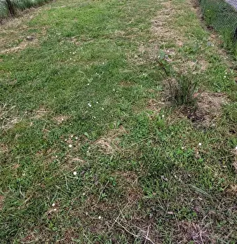 Foto annuncio 43