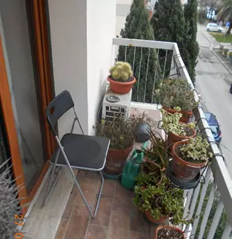 Foto annuncio 11