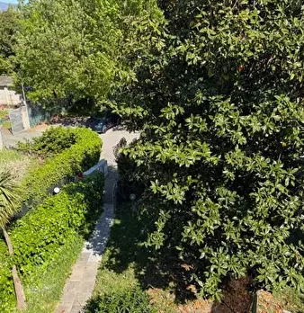 Foto annuncio 52