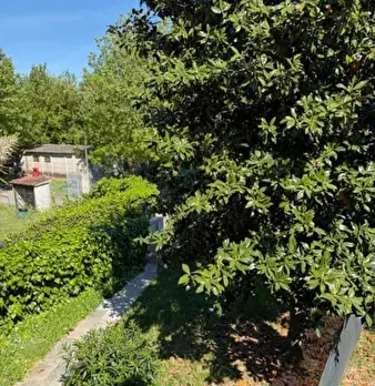 Foto annuncio 2