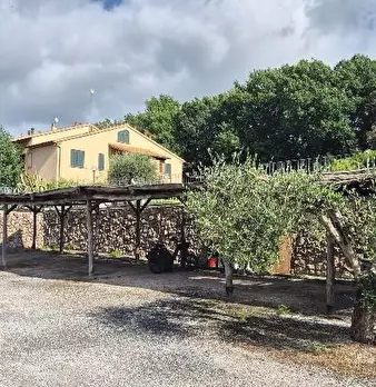 Foto annuncio 34