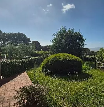Foto annuncio 26