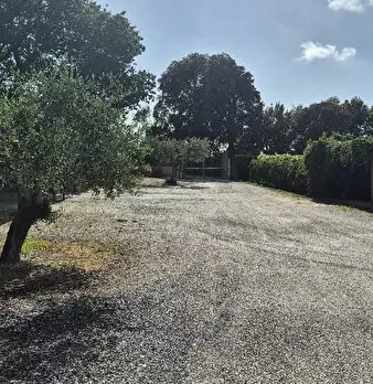 Foto annuncio 36