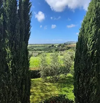 Foto annuncio 31