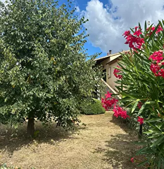 Foto annuncio 3