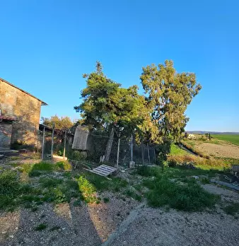 Foto annuncio 4