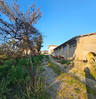 Foto annuncio 10
