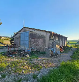 Foto annuncio 9