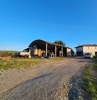 Foto annuncio 13