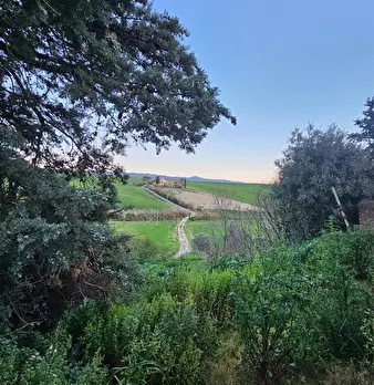 Foto annuncio 17