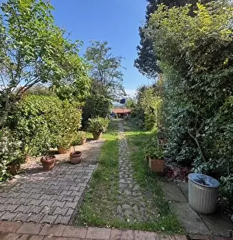 Foto annuncio 27