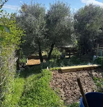 Foto annuncio 21