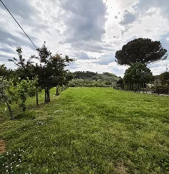 Foto annuncio 60
