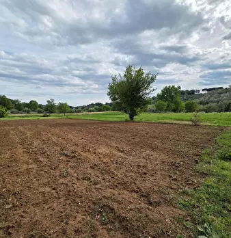 Foto annuncio 63