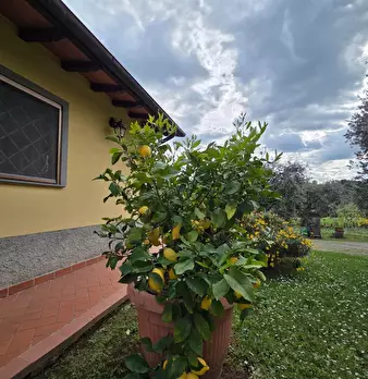 Foto annuncio 57