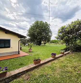 Foto annuncio 47