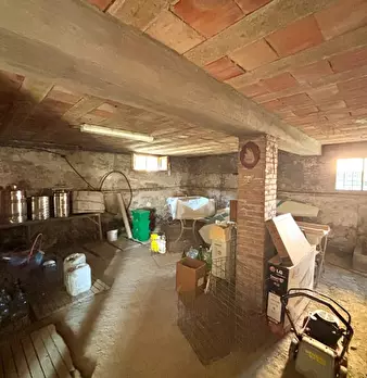 Foto annuncio 18