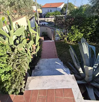 Foto annuncio 26
