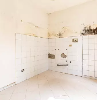 Foto annuncio 29