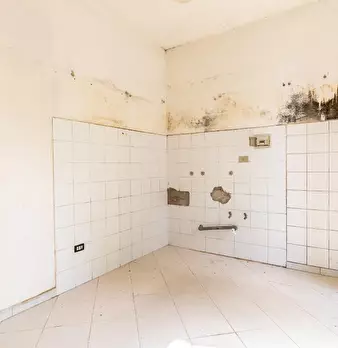 Foto annuncio 28