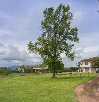 Foto annuncio 33
