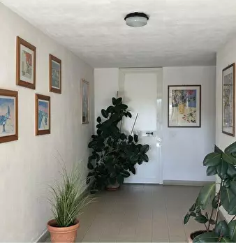 Foto annuncio 3