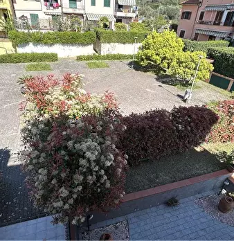 Foto annuncio 4