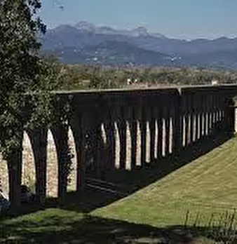 Foto annuncio 2