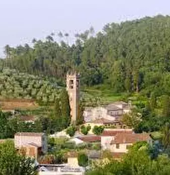 Foto annuncio 7