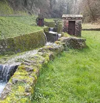 Foto annuncio 4