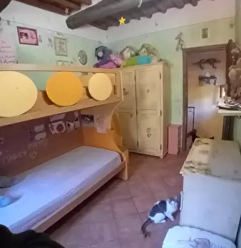 Foto annuncio 13