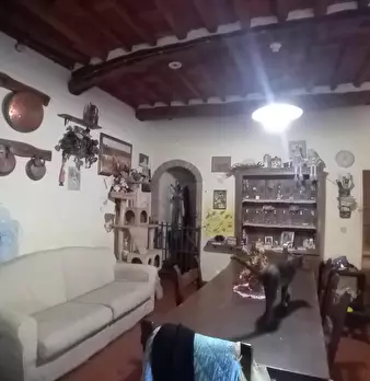 Foto annuncio 8