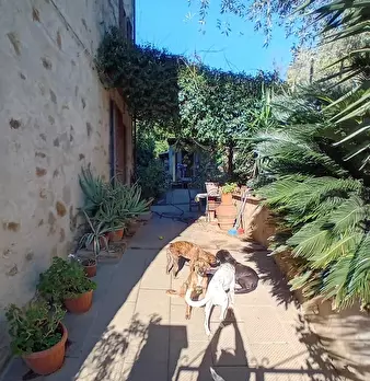 Foto annuncio 2