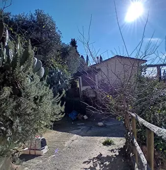 Foto annuncio 5
