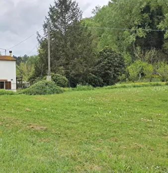 Foto annuncio 75