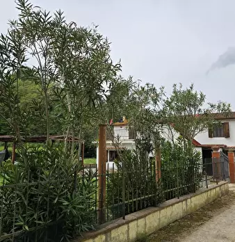 Foto annuncio 82