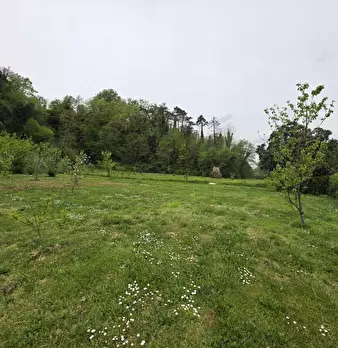 Foto annuncio 67