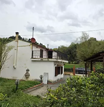 Foto annuncio 61