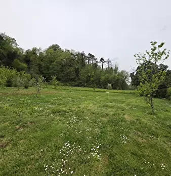 Foto annuncio 68