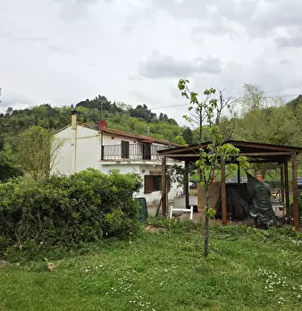 Foto annuncio 65