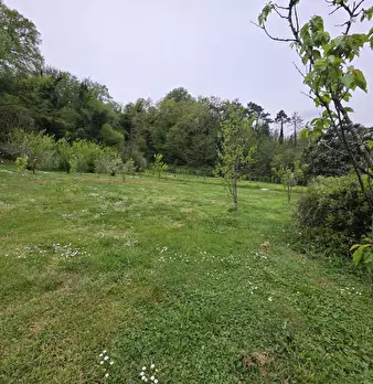 Foto annuncio 70