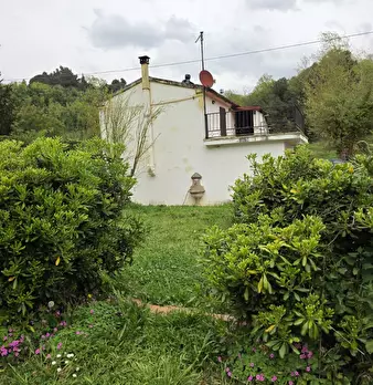Foto annuncio 74