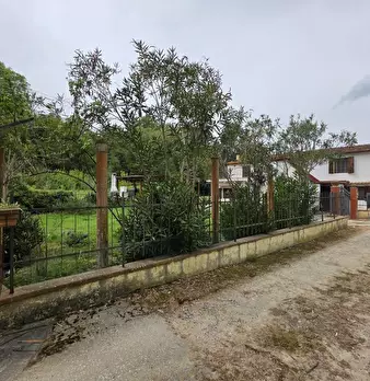 Foto annuncio 79