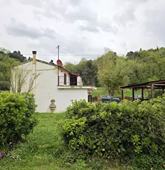 Foto annuncio 63