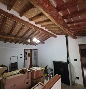 Foto annuncio 24