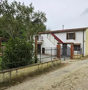 Foto annuncio 83